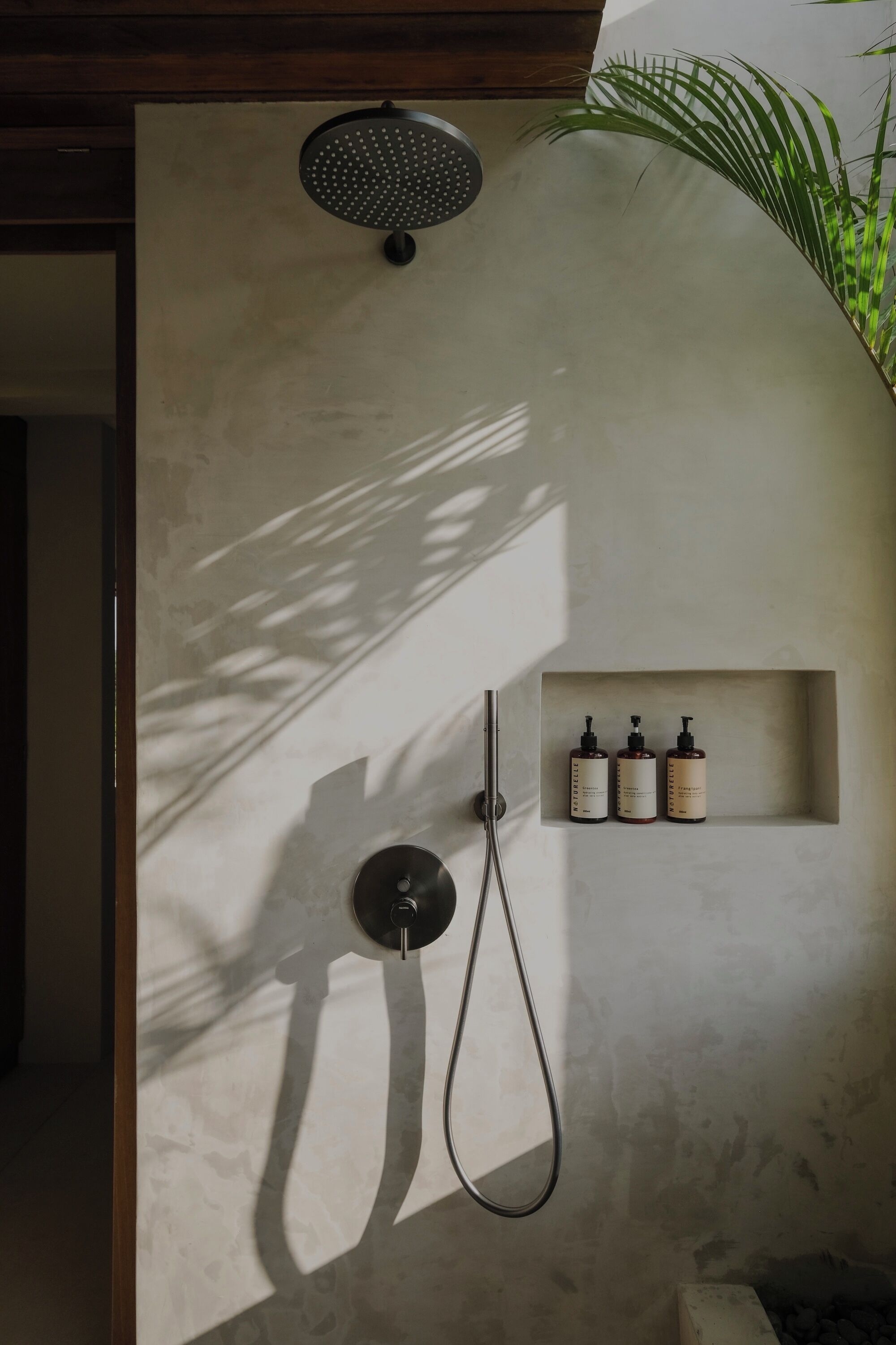 A shower with a handheld showerhead and a handheld shower hose, a shelf with three bottles, and a plant in the corner.