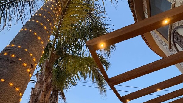 Eine Palme mit Lichterketten, eine Steinmauer und ein Metallgitter.
