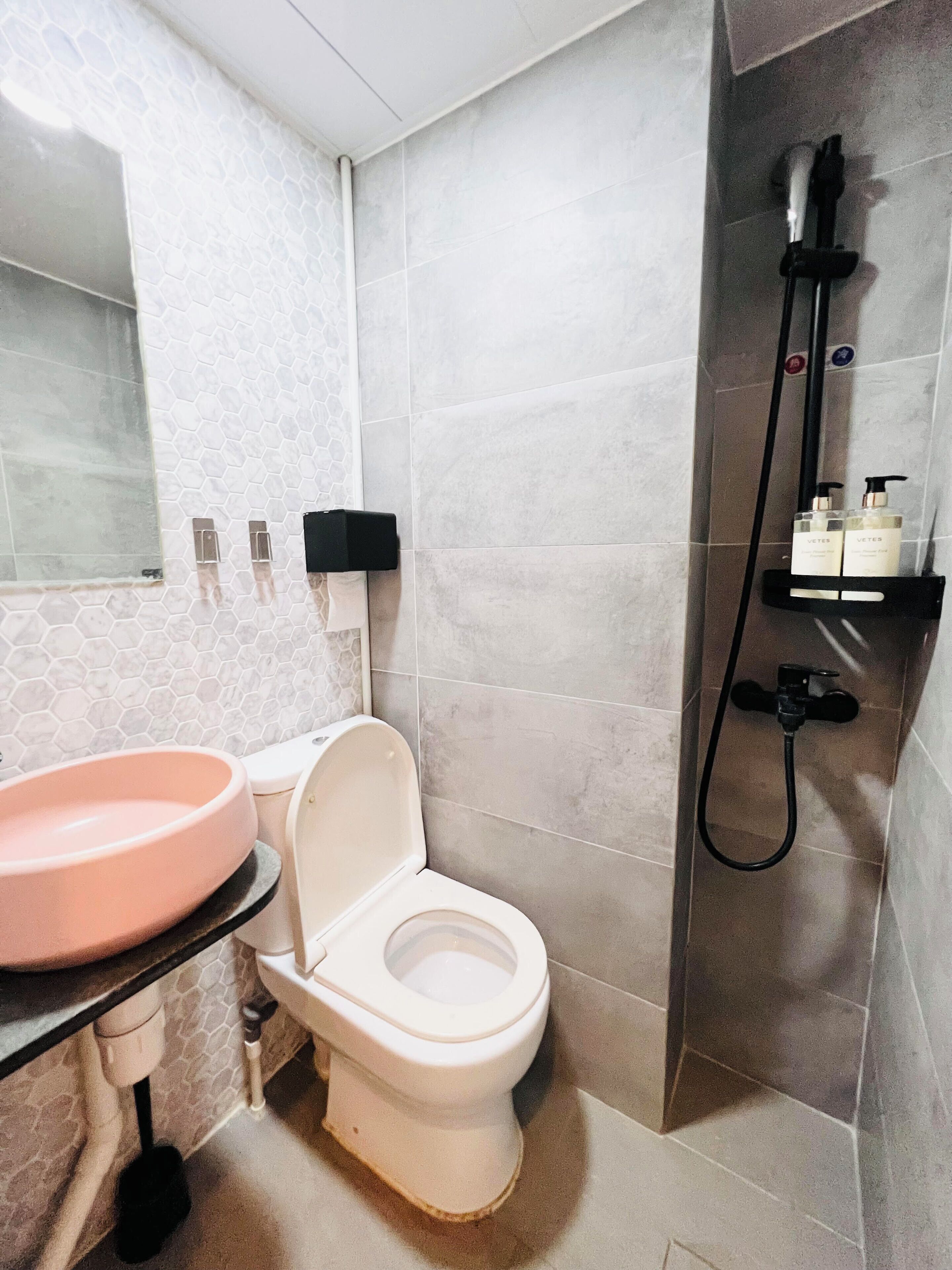 Hair dryer, towels, soap, toilet paper