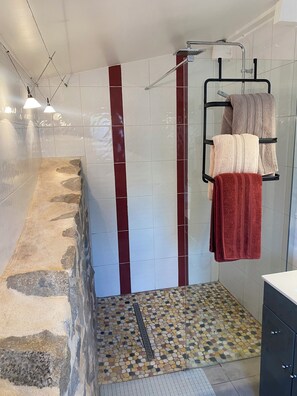 Chuveiro, secador de cabelo, toalhas de banho, papel higiênico