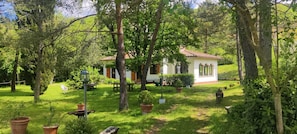 Property grounds - In the greenery and silence (Toscana)