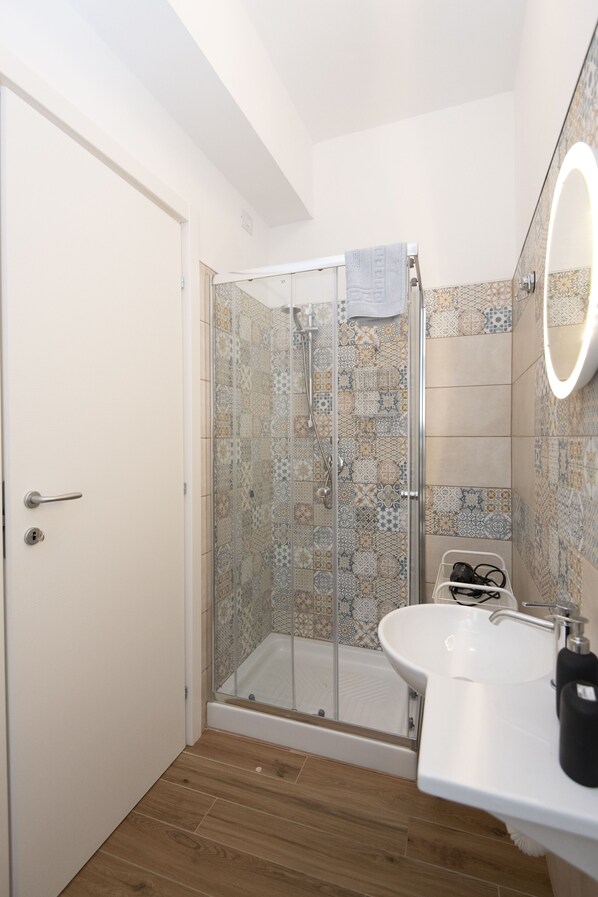 Shower, hair dryer, bidet, towels