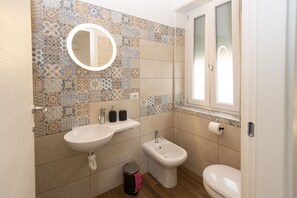 Shower, hair dryer, bidet, towels