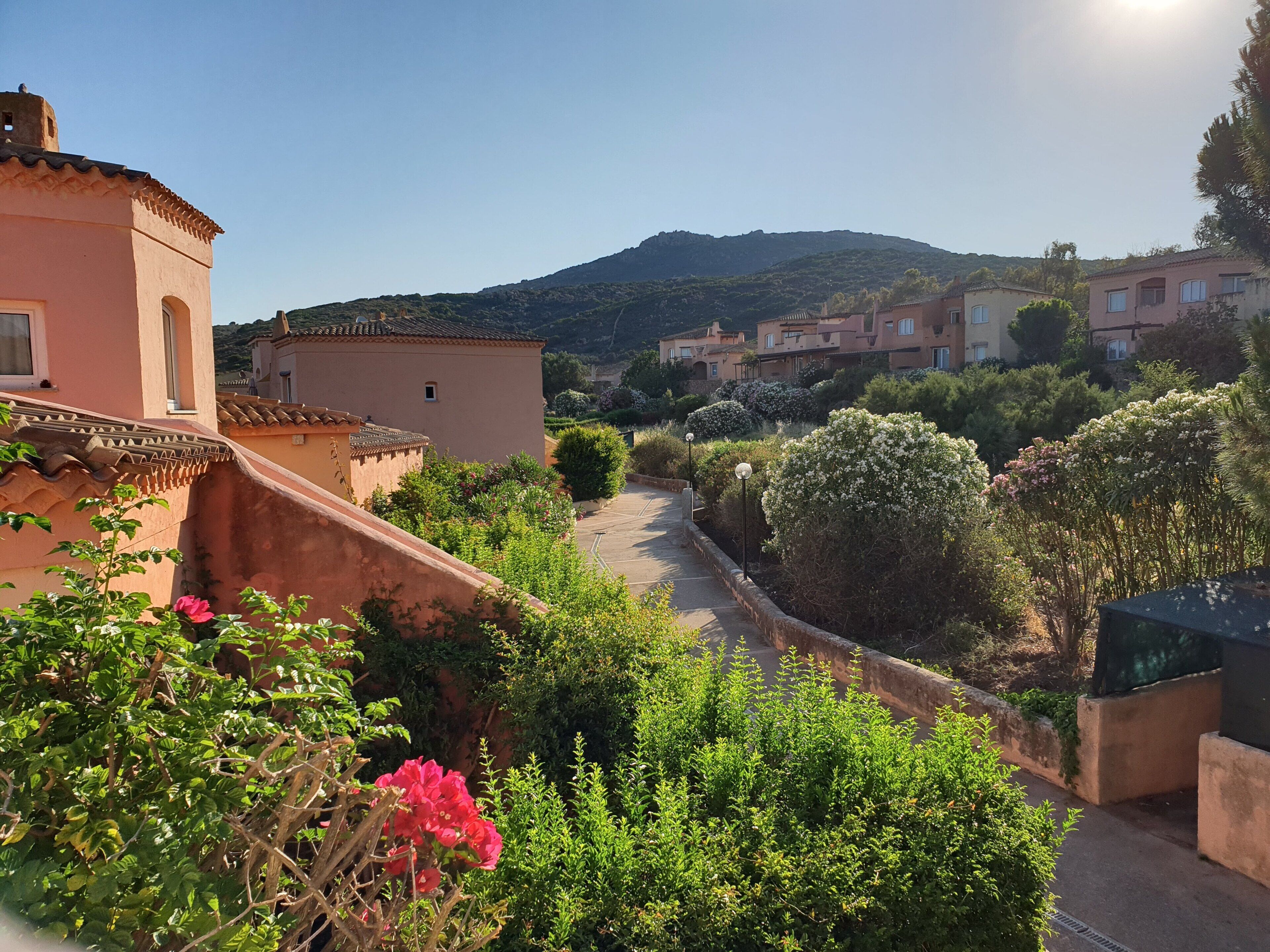 A residential area with terraced houses, a pathway, and a mountain in the background.
