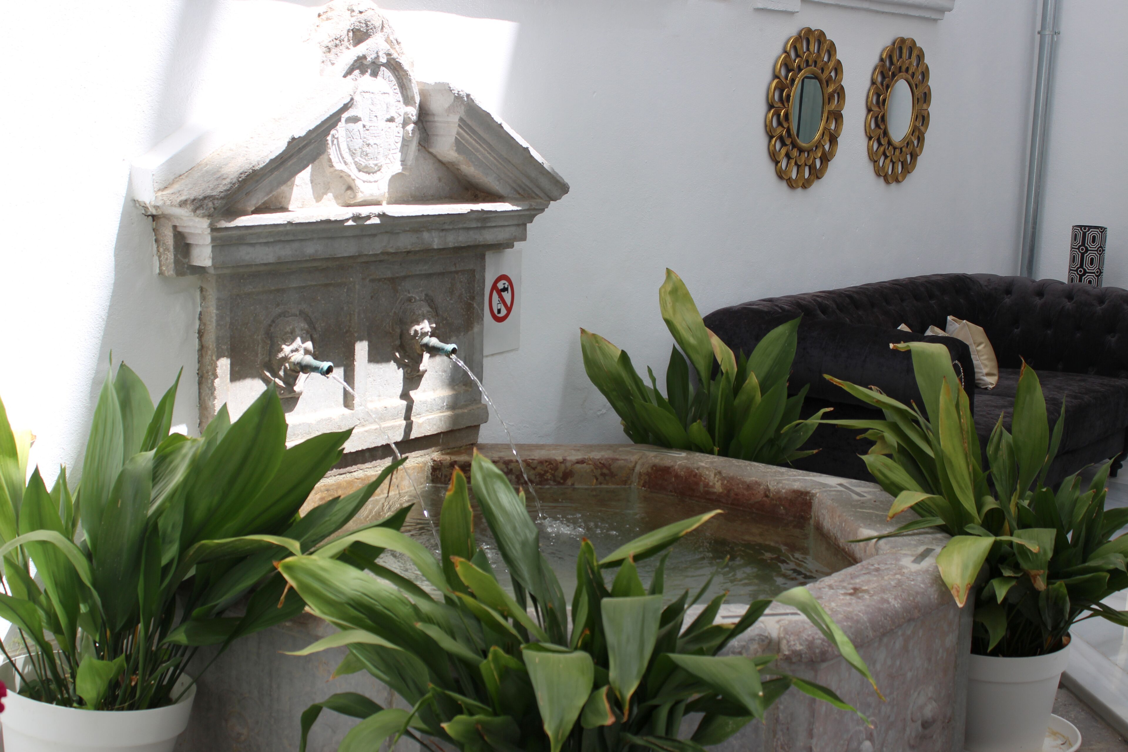 A fountain with water spouting from multiple nozzles, surrounded by potted plants.