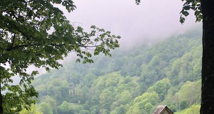 Maison au coeur du Val d'Azun proche toutes commodités, idéale en famille/amis