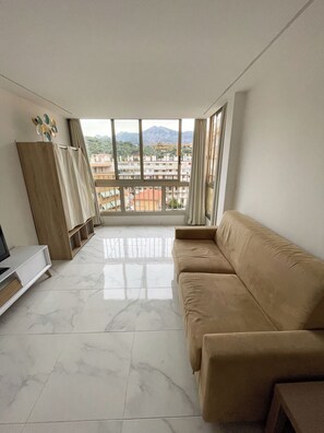 智能電視、書籍