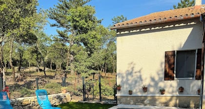 Holiday home in the Mont Ventoux with private pool.