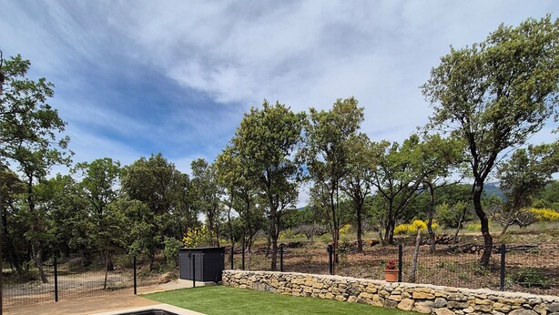 A rectangular swimming pool with a stone border, surrounded by a grassy area and trees.