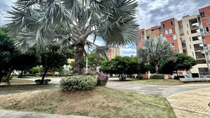 A palm tree in a landscaped area with a paved walkway, surrounded by greenery and residential buildings in the background. - Lindo apartamento 3 habitaciones (San José de Cúcuta)