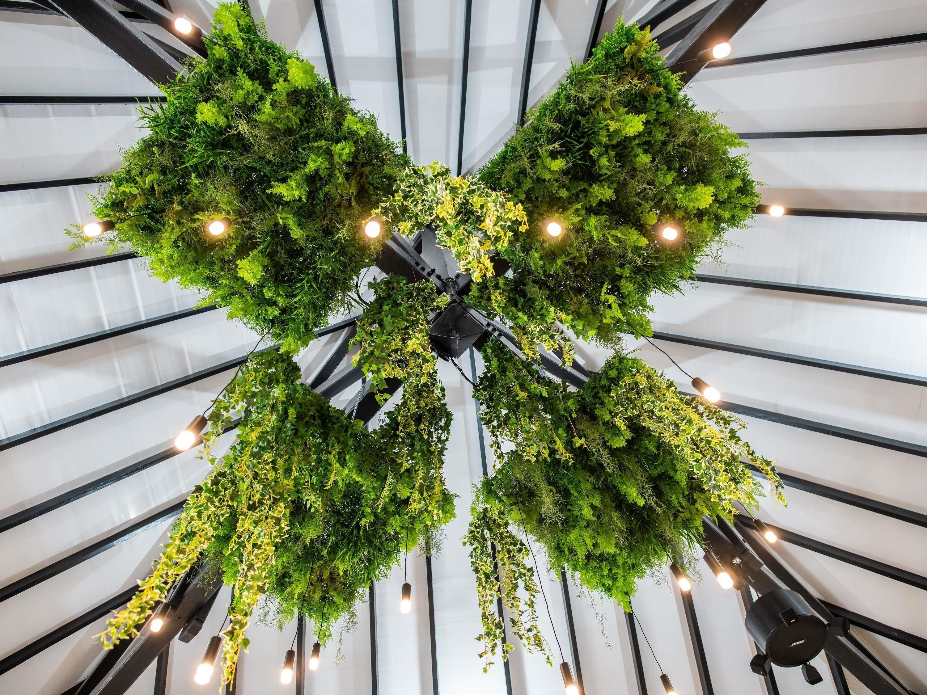 Photo - Ibis Styles Cayenne Centre Amazonia