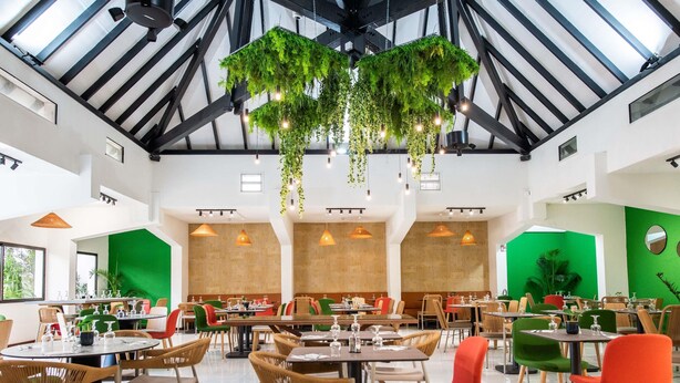 Un restaurante espacioso con techos altos, plantas colgantes y diversas opciones de asientos.