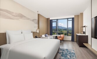 Premium bedding, down comforters, minibar (some free items)