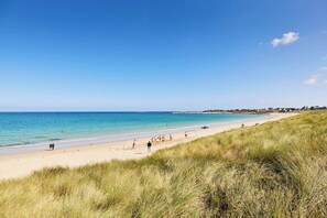 Playa en los alrededores y camastros