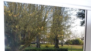 Un sendero de grava que conduce a un parque con árboles y un banco.