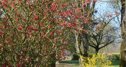 LE MANS à 15mn. Pour une halte ou un séjour, un espace cosy et chaleureux