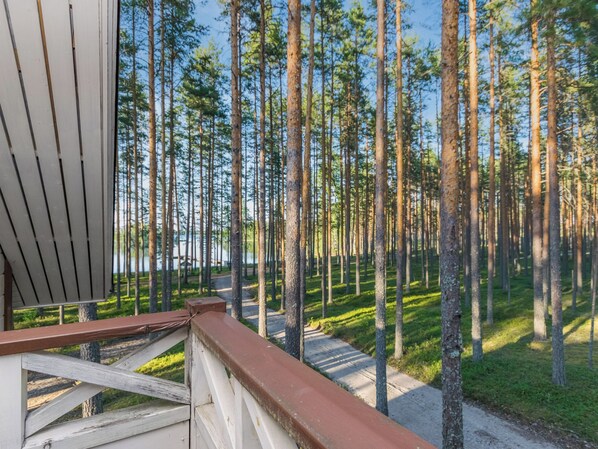 Une terrasse en bois donnant sur une forêt avec de grands arbres et un ciel dégagé.
