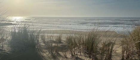 Una playa cerca
