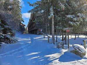 A snow-covered path leading to a building with a sign reading "Chesterly 1".