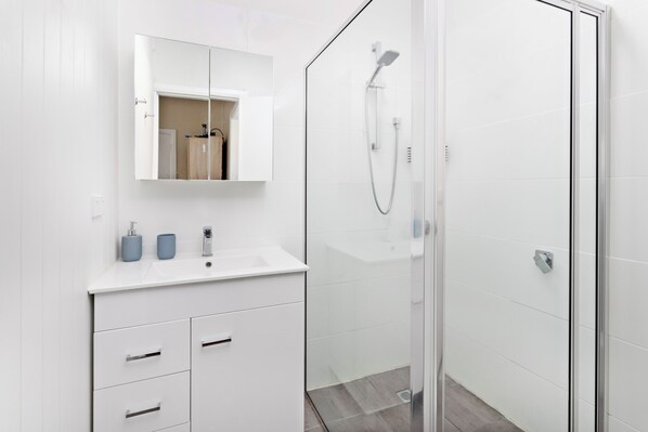 Shower, hair dryer, towels, soap