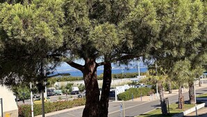 A tree-lined street with a view of the sea, parking areas, and a clear sky. - Charming Studio for 4 with Sea View, Pool, and Parking Near the Beach (Le Grau-du-Roi)
