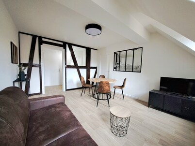 Apartment Historic Center Colmar with free private parking