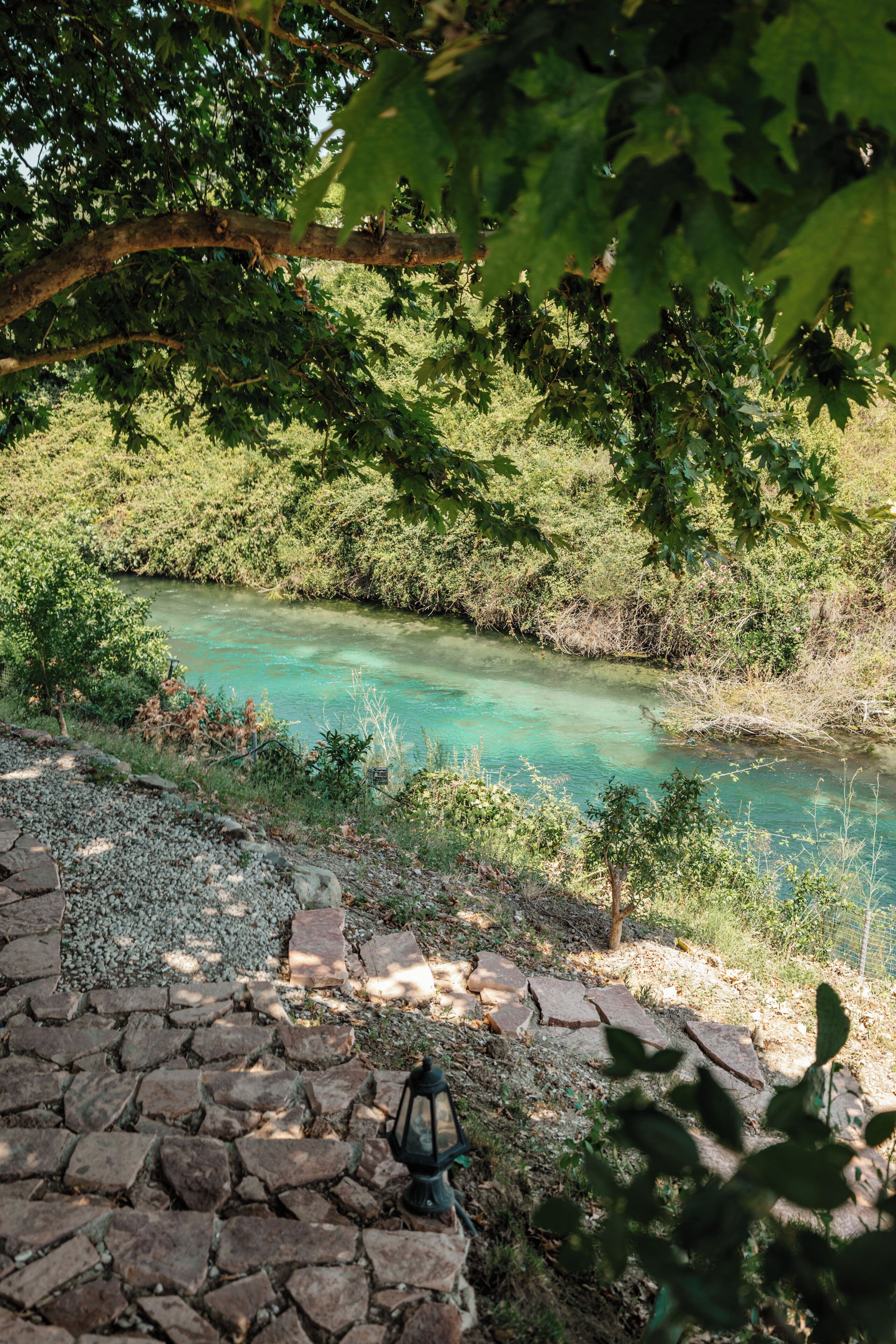 A stone pathway leading to a river with clear water, surrounded by greenery and trees.