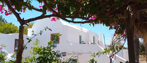 アパートメント | 1 室のベッドルーム