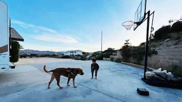 Overnattingsstedets uteområder