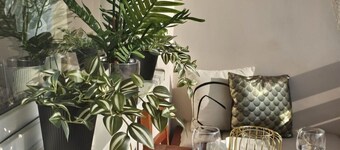 Apartment in Zyrardow 10min to Suntago