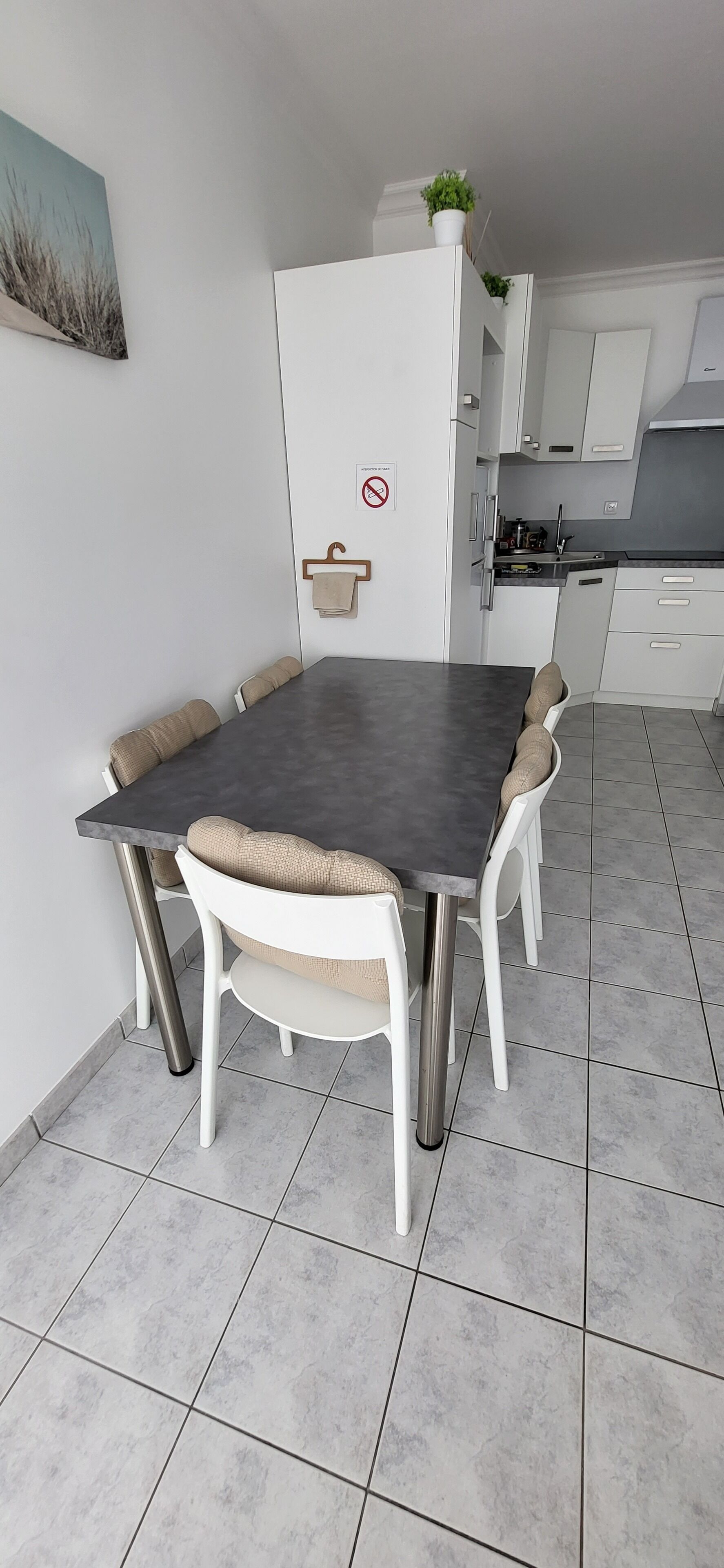 A modern kitchen with white cabinets, a grey countertop, and a hanging plant.