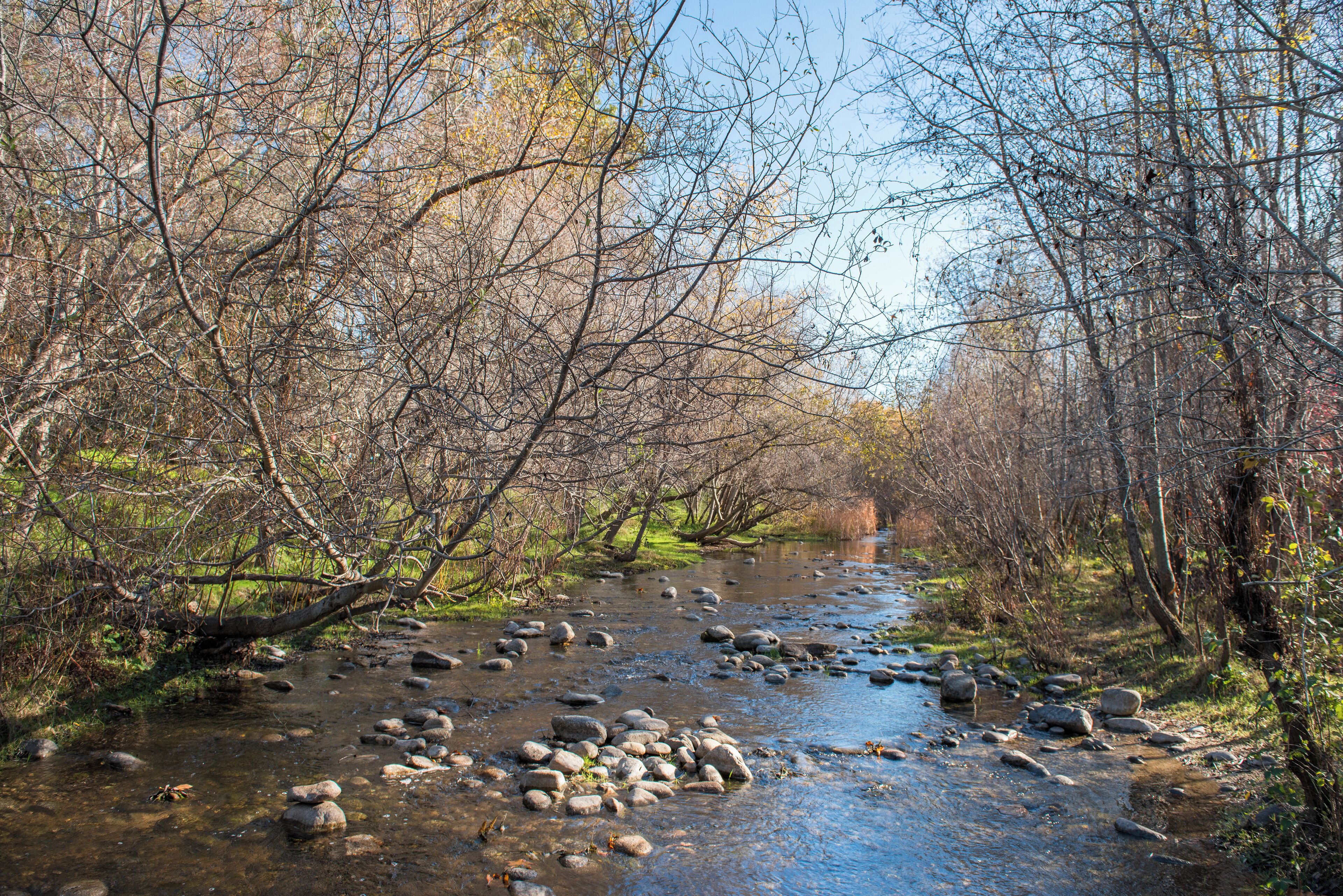 A natural stream with rocks and trees.