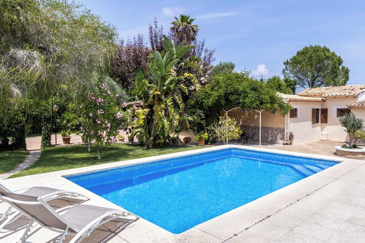 A rectangular swimming pool with clear blue water, surrounded by a garden with various plants and trees, and a building with a tiled roof in the background.