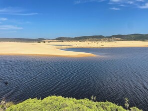 海滩