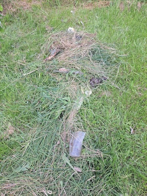 Miscellaneous - Persons Whom Appreciate the Fine Arts Prefered. (Saginaw)