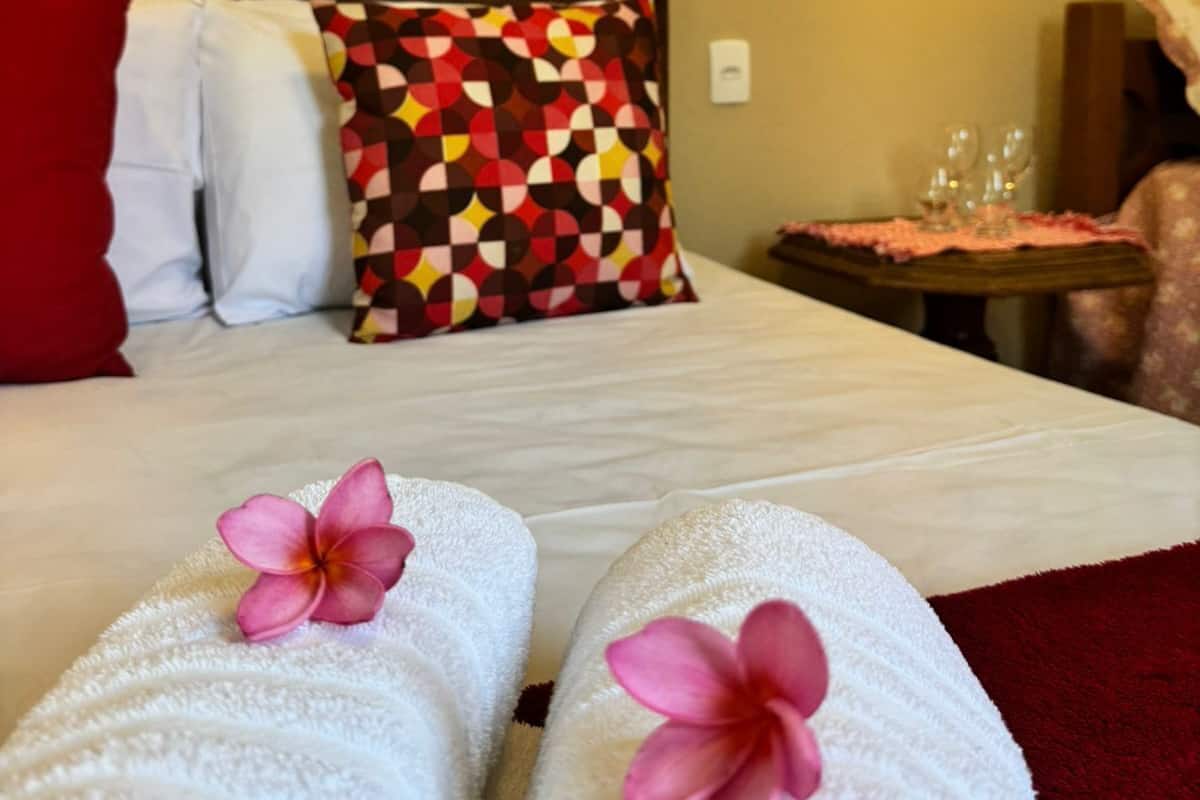 Suite estudio familiar | 1 dormitorio y wifi gratis