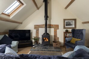 TV, fireplace