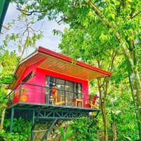 1 habitación, cubrecamas, cunas y wifi gratis 