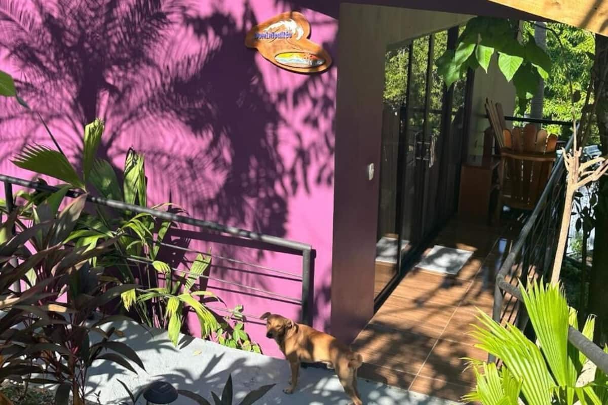 1 habitación, cubrecamas, cunas y wifi gratis