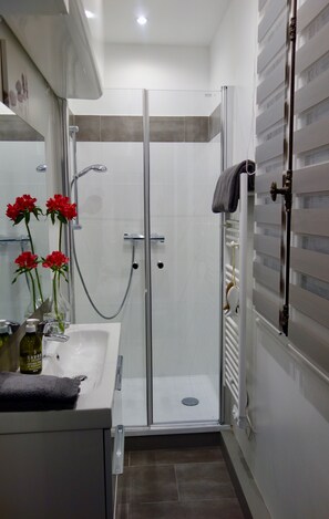 Douche, séchoir à cheveux, serviettes fournies, papier de toilette