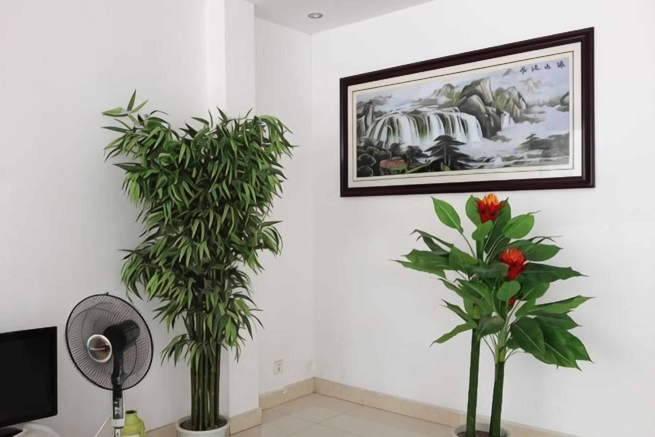 Una habitación con una planta grande en maceta, un cuadro enmarco y un ventilador.