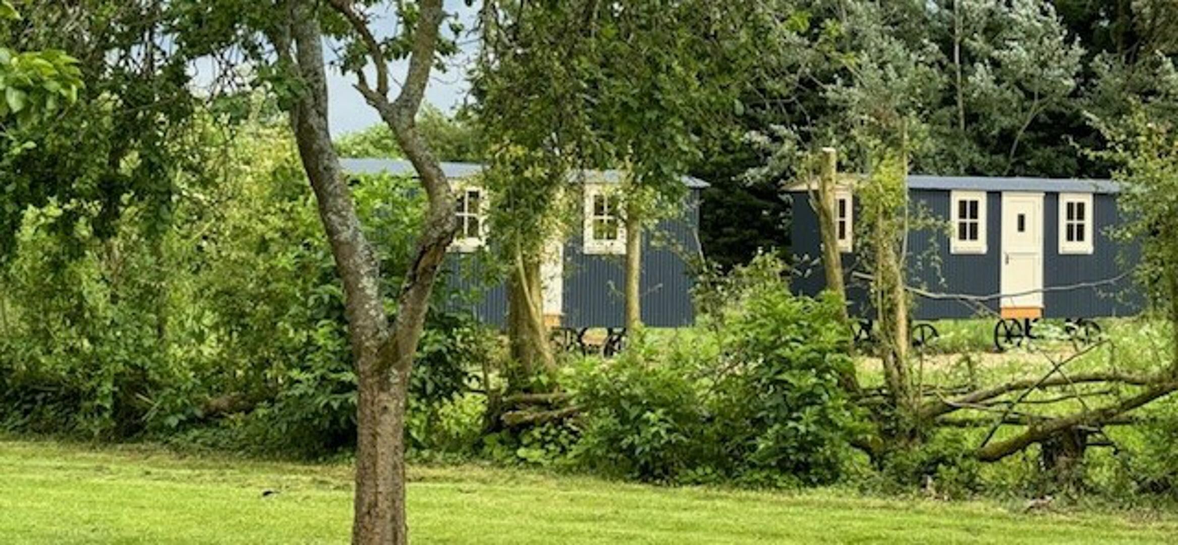 A single-story house with a dark blue exterior, surrounded by lush greenery and trees.