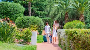 A pathway in a well-maintained garden with various plants and a palm tree. - Residence Loano 2 Village  Studio Apartment 3 Pax (Loano)