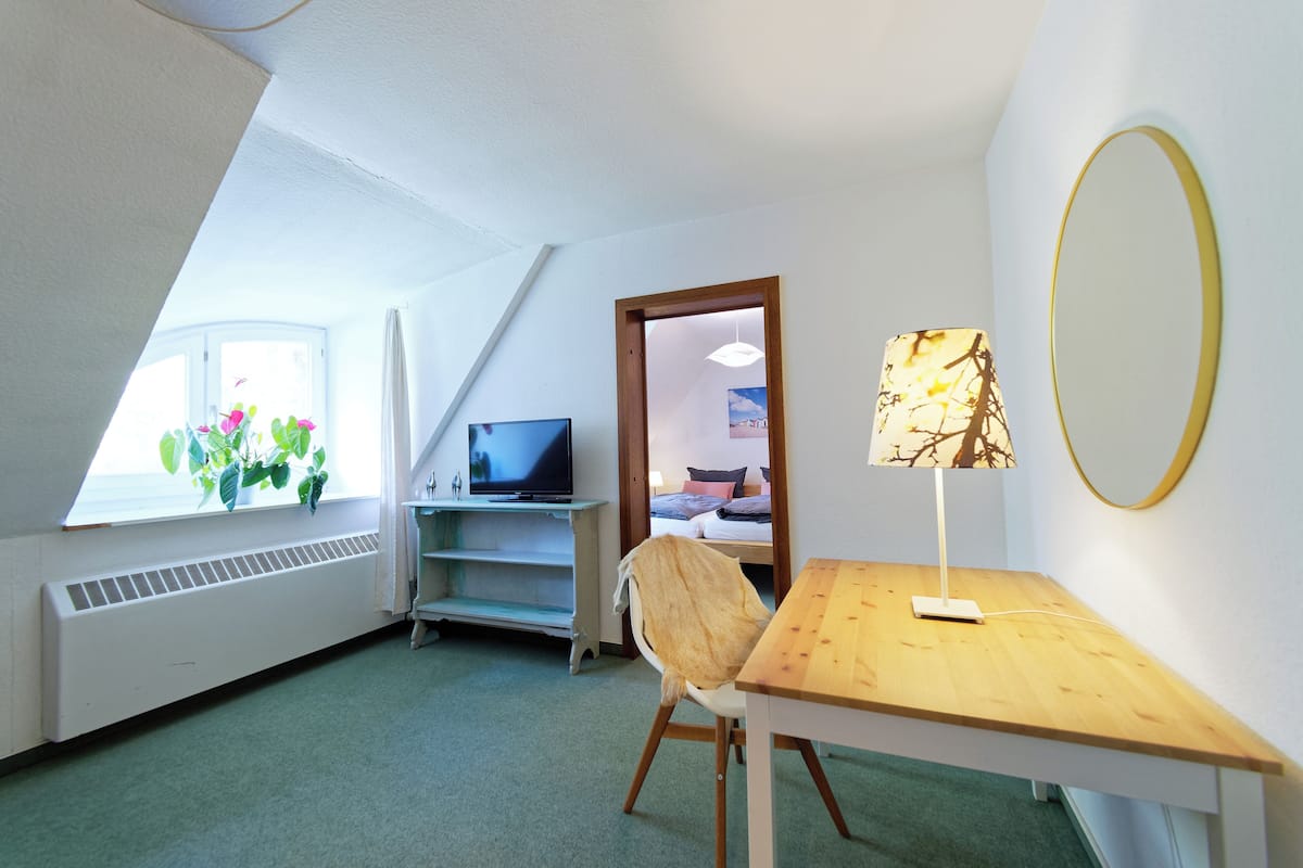 Una habitación con cama, televisión, escritorio y ventana con planta.