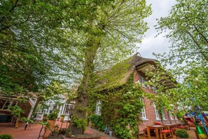 Un bâtiment rustique aux murs couverts de lierre, doté d’une terrasse et d’un grand arbre en premier plan.