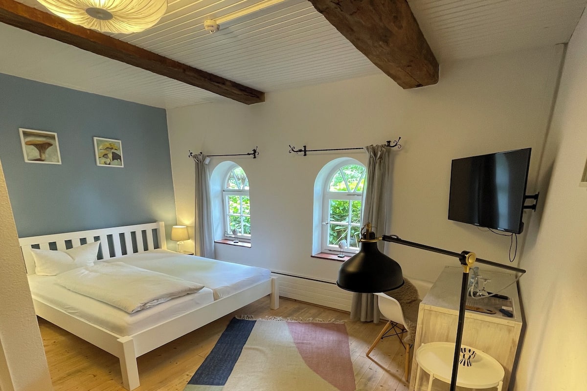 Un dormitorio con cama, escritorio, silla, televisor y dos ventanas.