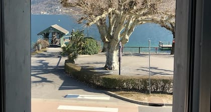 Duplex lake hazelnut, lake view