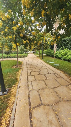 Property grounds - Modern flat with garden Madinaty (Cairo Governorate)