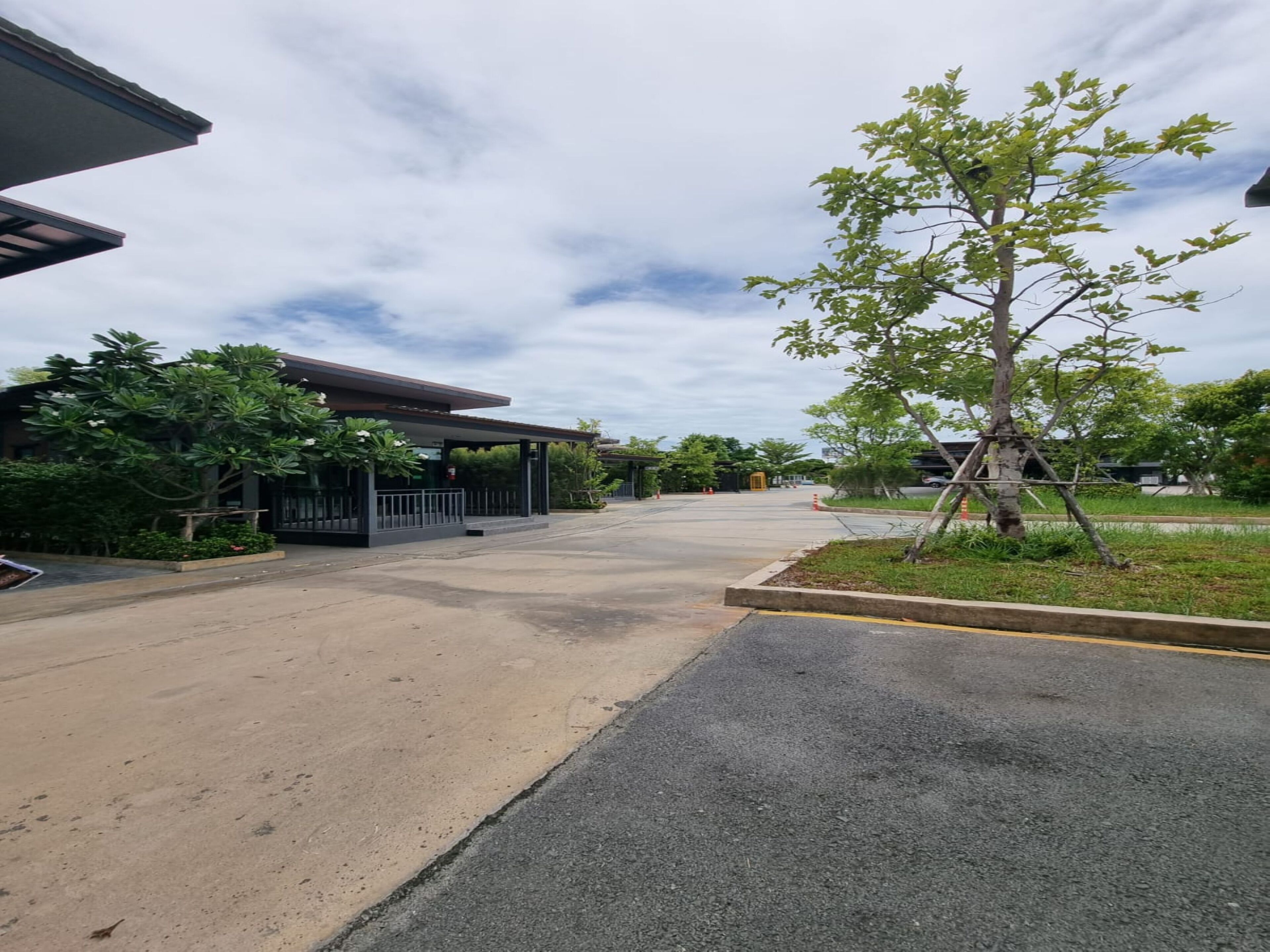 Un parcheggio con una pensilina, un albero e un edificio dal design moderno.