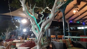An outdoor seating area with tables and chairs under a tree, string lights, and a covered roof. - Social Camping JAL (Himarë)